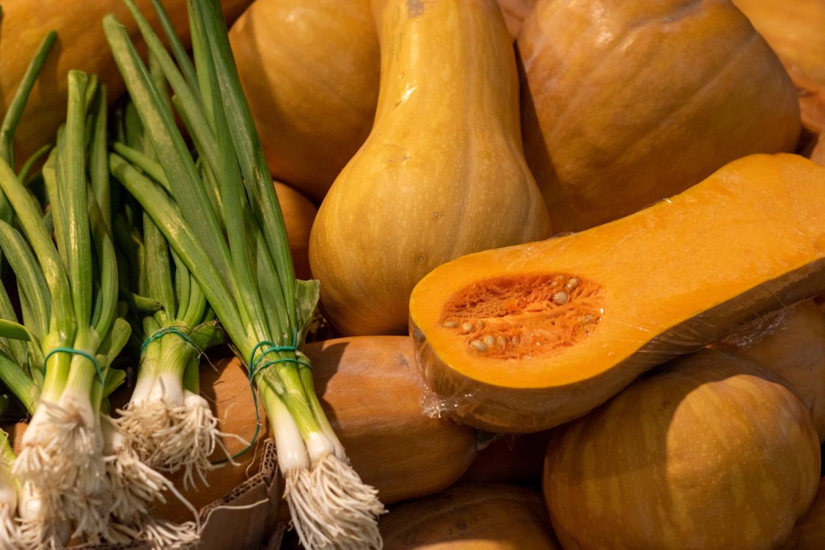 Comment choisir la courge butternut parfaite pour vos plats d'automne