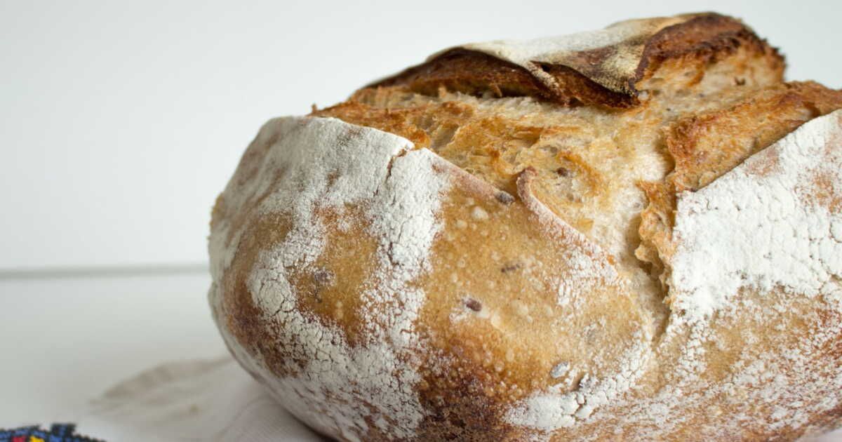Le pain sans gluten : allié ou ennemi pour votre santé intestinale ?