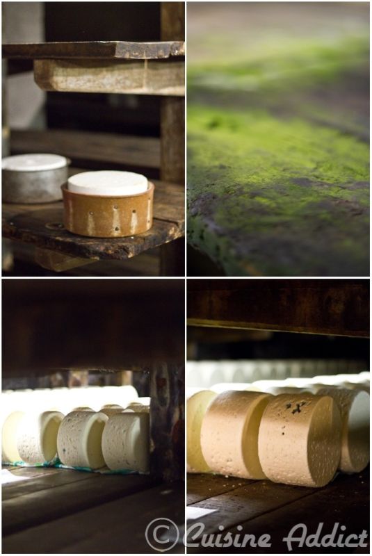 Entre Viaduc et Roquefort : Un Voyage Inoubliable