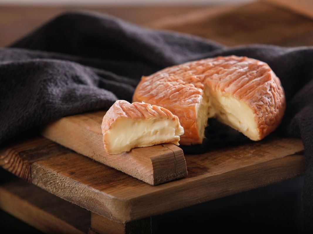 Époisses : le trésor crémeux de Bourgogne élu meilleur fromage du monde