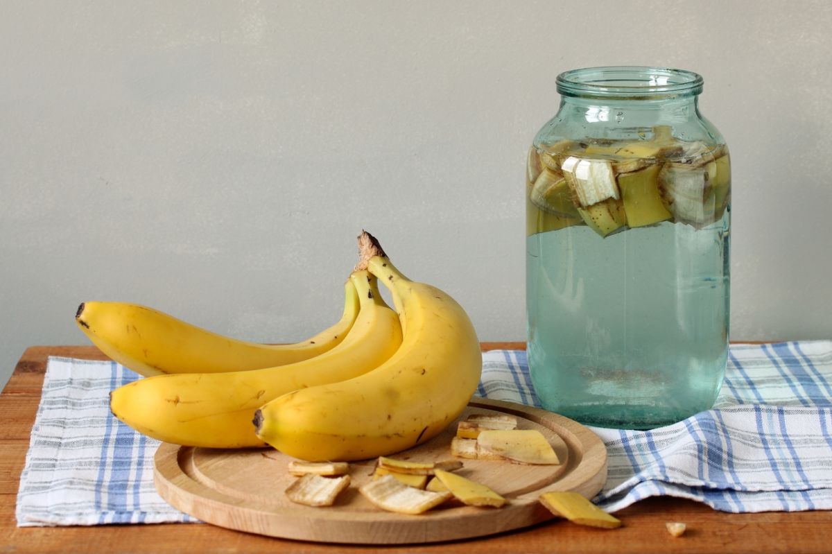 Le moment parfait pour déguster une banane selon les experts