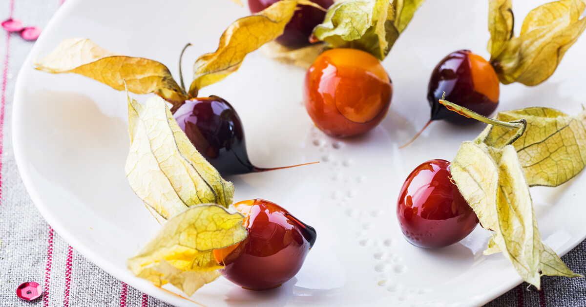 La magie du physalis : un fruit fascinant et délicieux