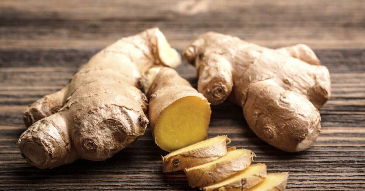 Le gingembre, l'épice incontournable de votre cuisine