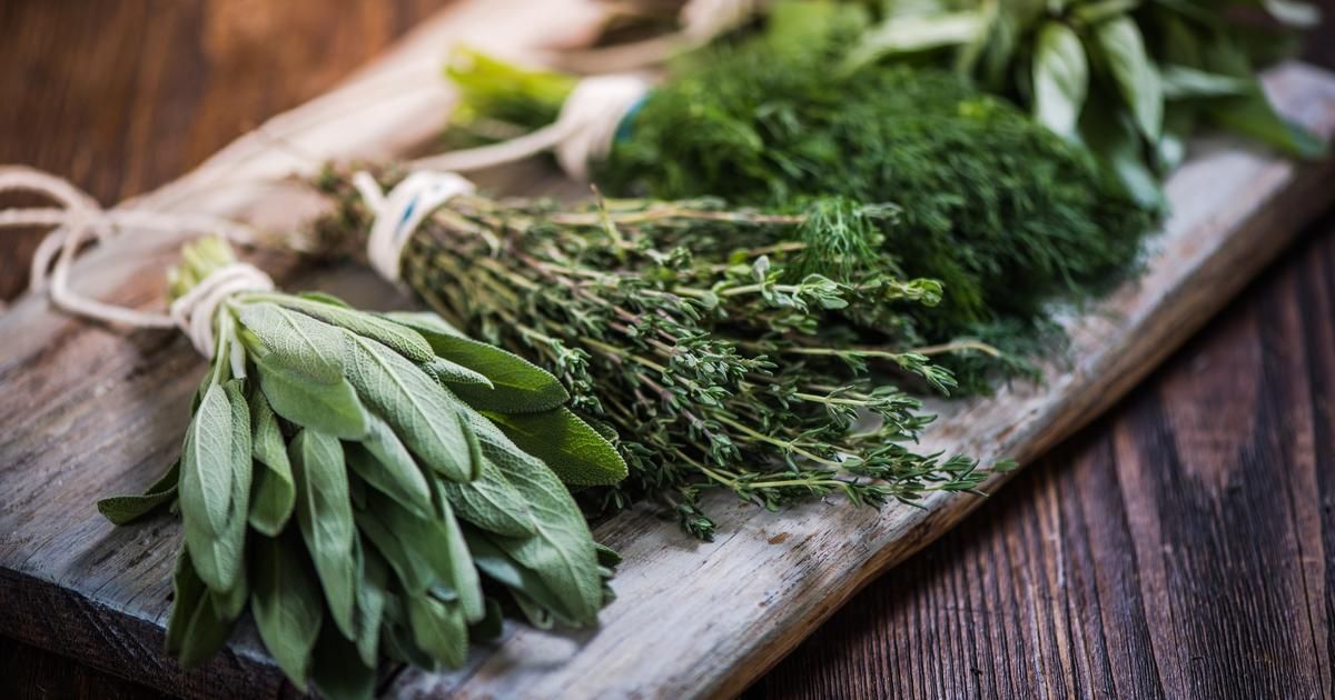 Astuces essentielles pour conserver vos herbes aromatiques toute l'année
