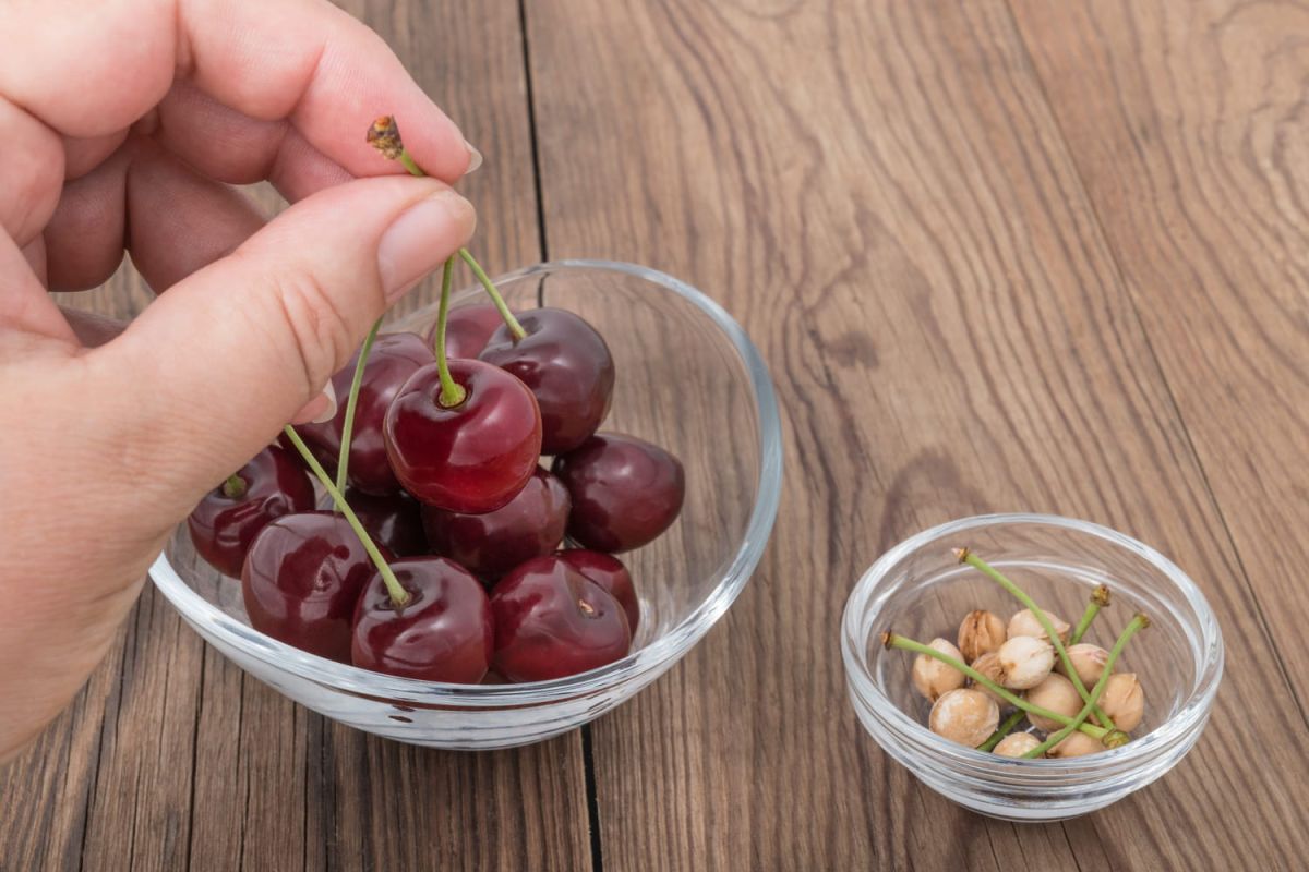 Des astuces infaillibles pour dénoyauter des cerises sans effort