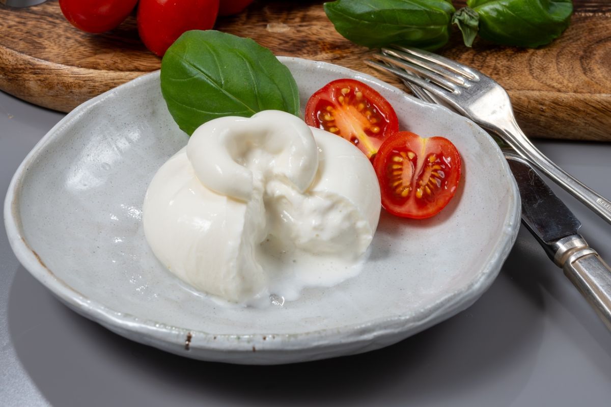 Les meilleures mozzarellas à découvrir cet été