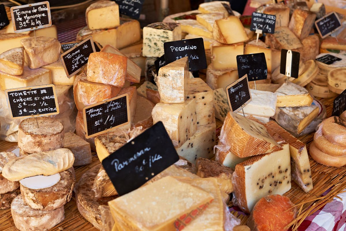 Dégustez sans crainte : les fromages sans lactose à savourer