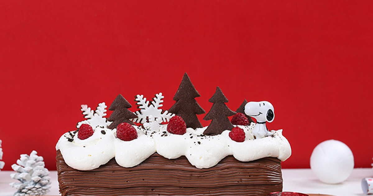 La magie de Noël : une bûche au Nutella et à la framboise