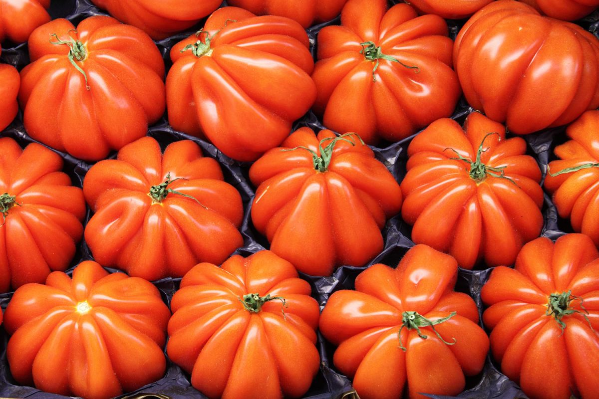 Le vrai goût des tomates cœur de bœuf : entre authenticité et hygiène