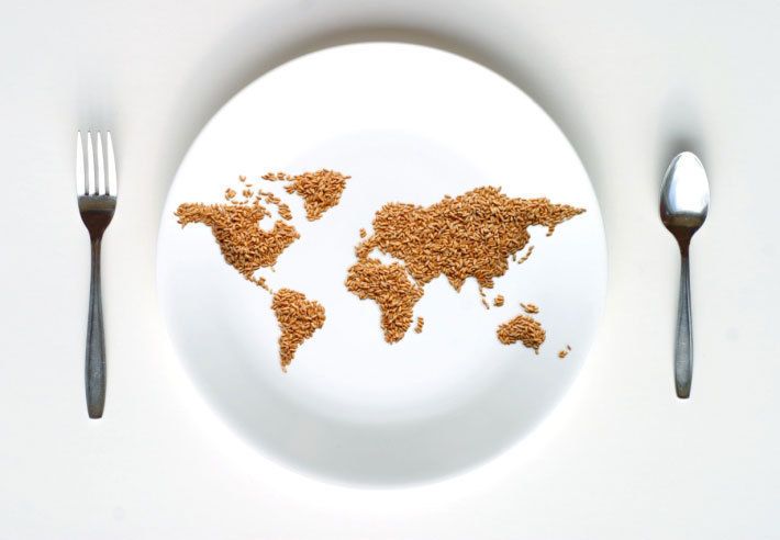 L'industrialisation de l'alimentation : un paradoxe international