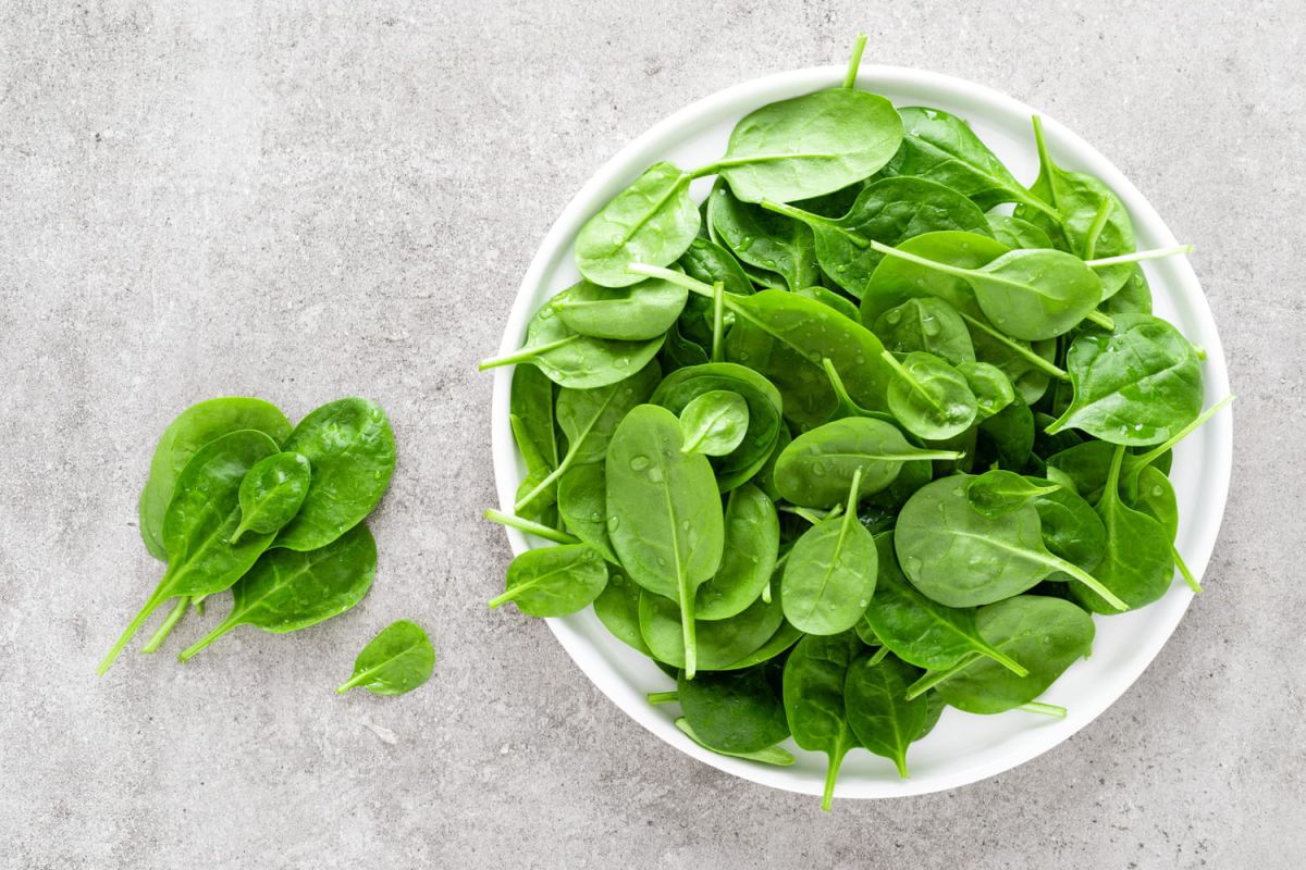 Les secrets d'une cuisson parfaite des épinards frais