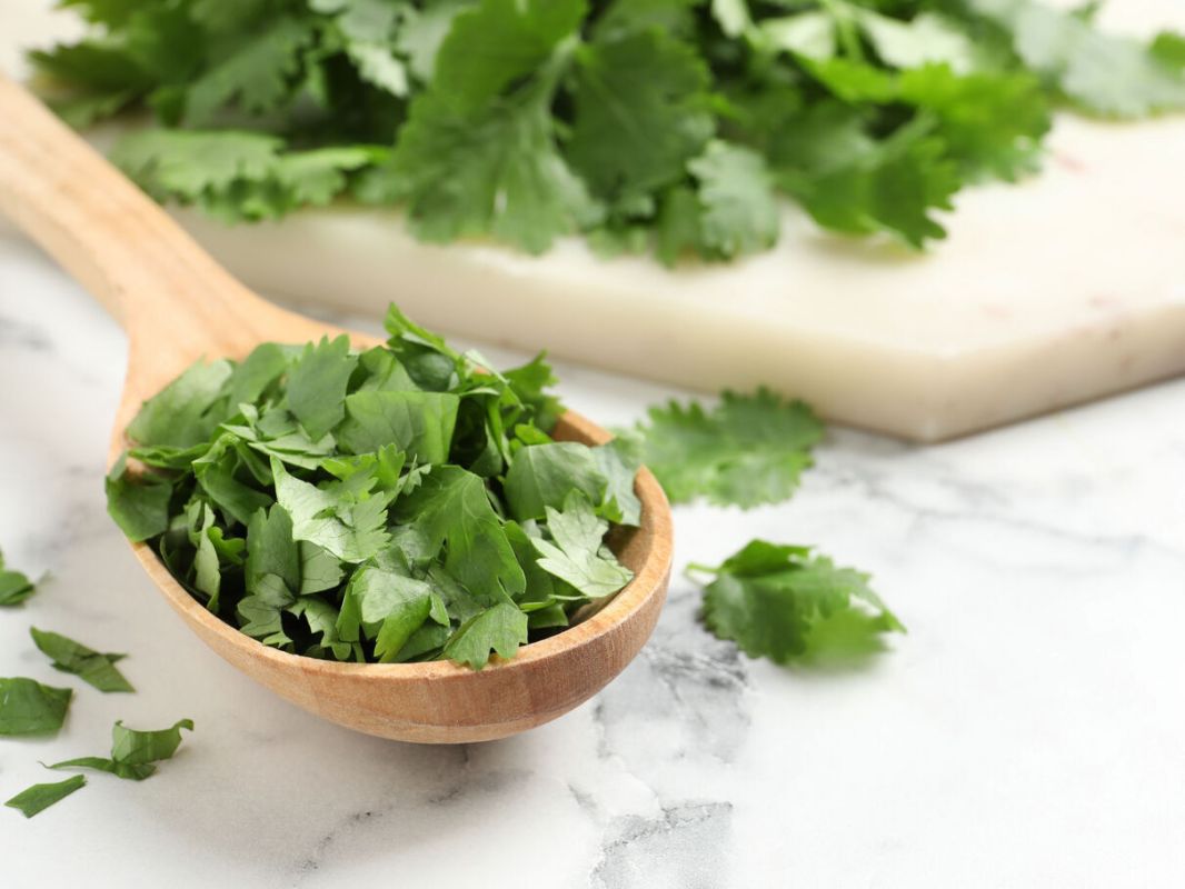Coriandre : 9 recettes légères et savoureuses pour sublimer vos plats