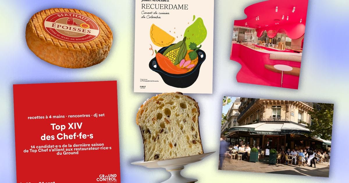 Découvertes gourmandes de rentrée : entre panettone, fromage exquis et événements littéraires