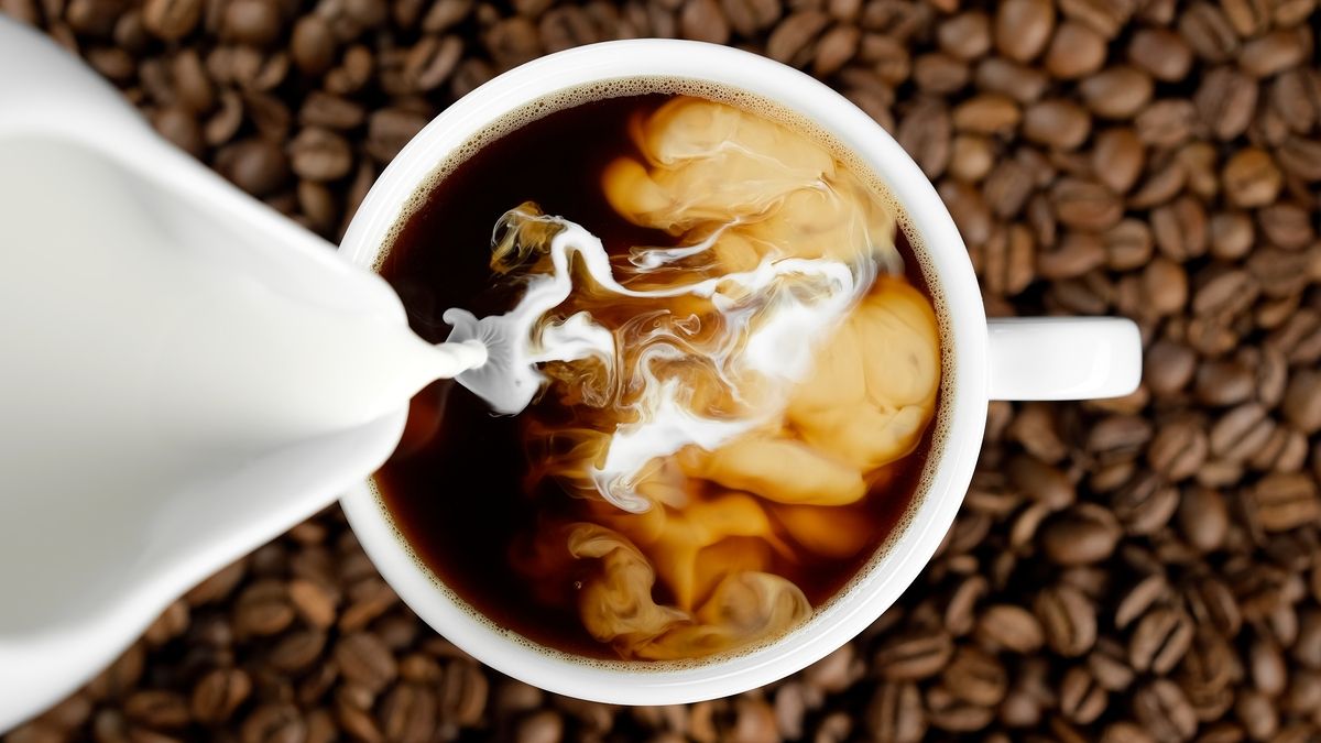 Café au lait : les atouts des différents laits révélés