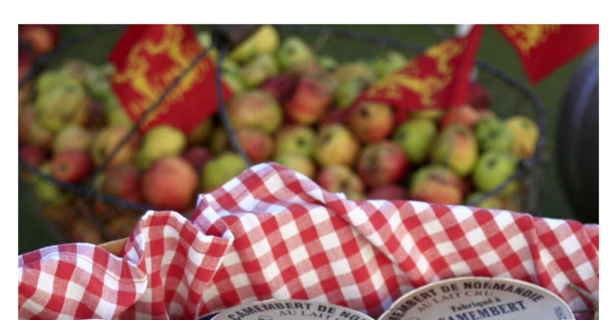 Un voyage gourmand à travers la France : 4 circuits à explorer