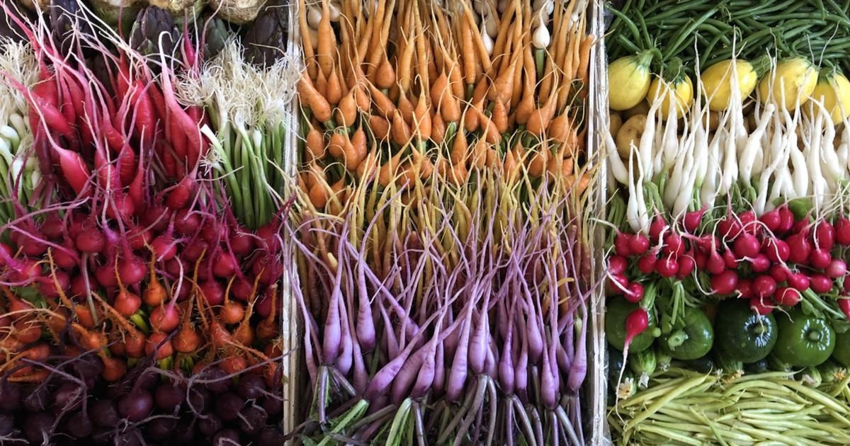 Quand les mini-légumes prennent d'assaut les réseaux sociaux
