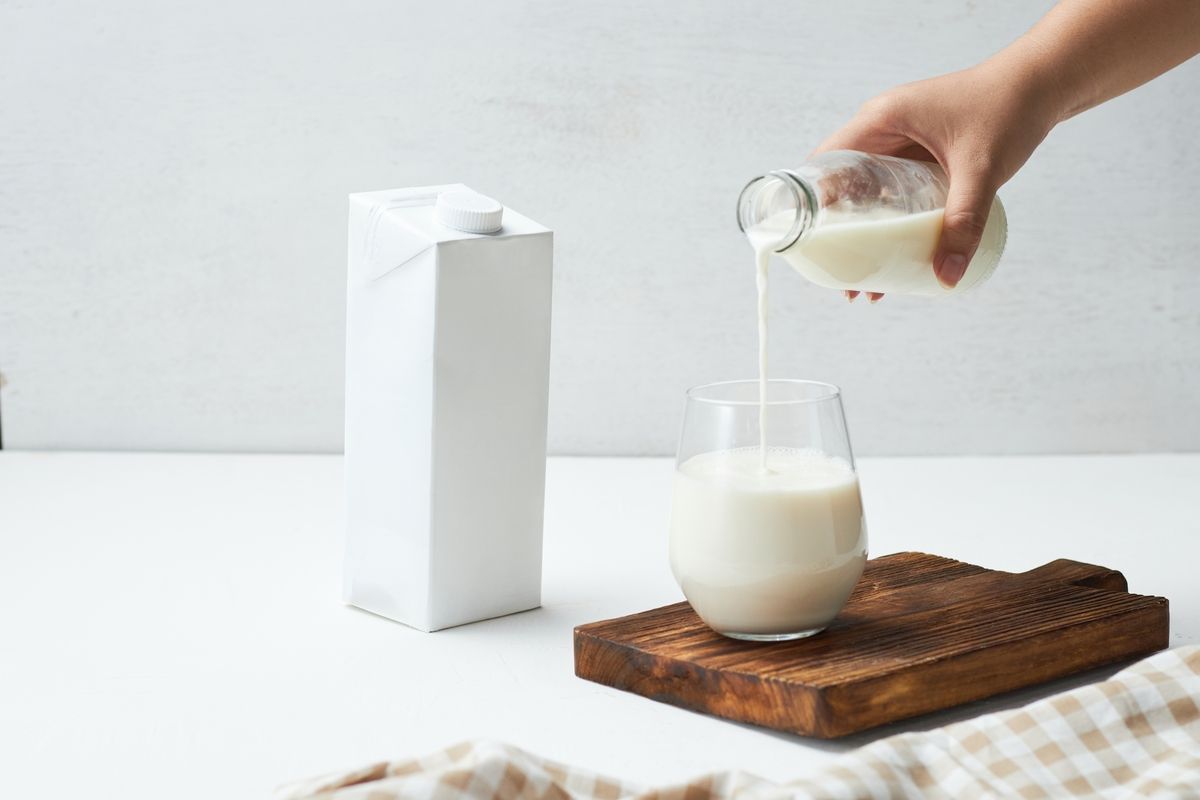 Le retour du lait entier : un allié santé sous-estimé